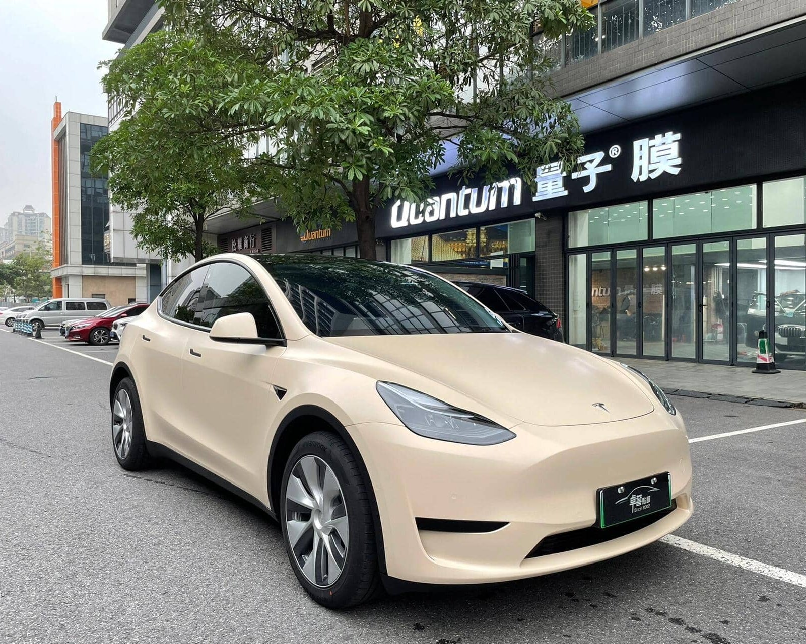 Tesla Model Y wrapped in matte MATTE SPACE GRAY tesla wrap by WrapBug parked on urban street