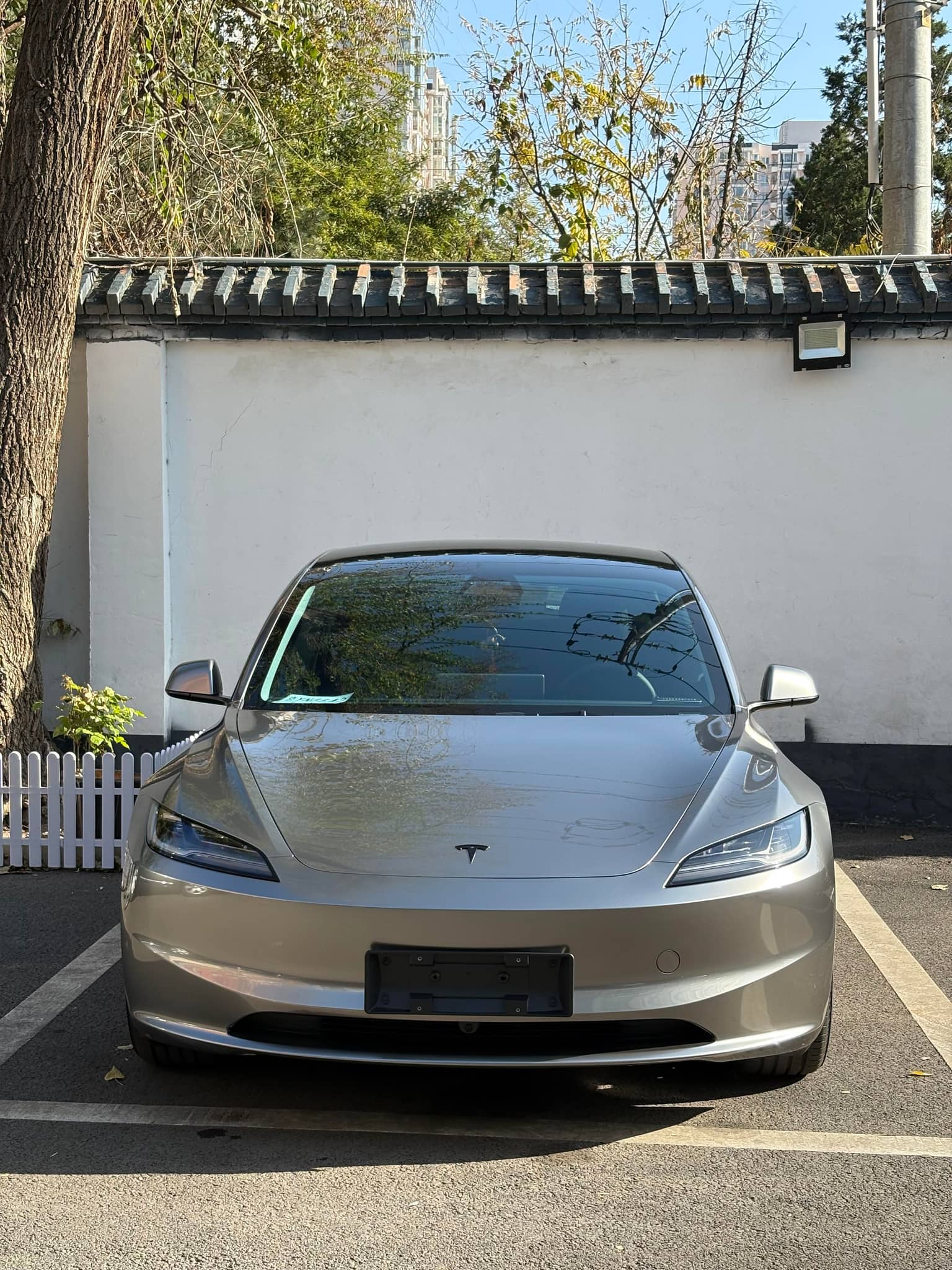 Silver Tesla Model 3 wrapped with a Pre-cut Tesla Wrap Kit by WrapBug parked in an outdoor lot