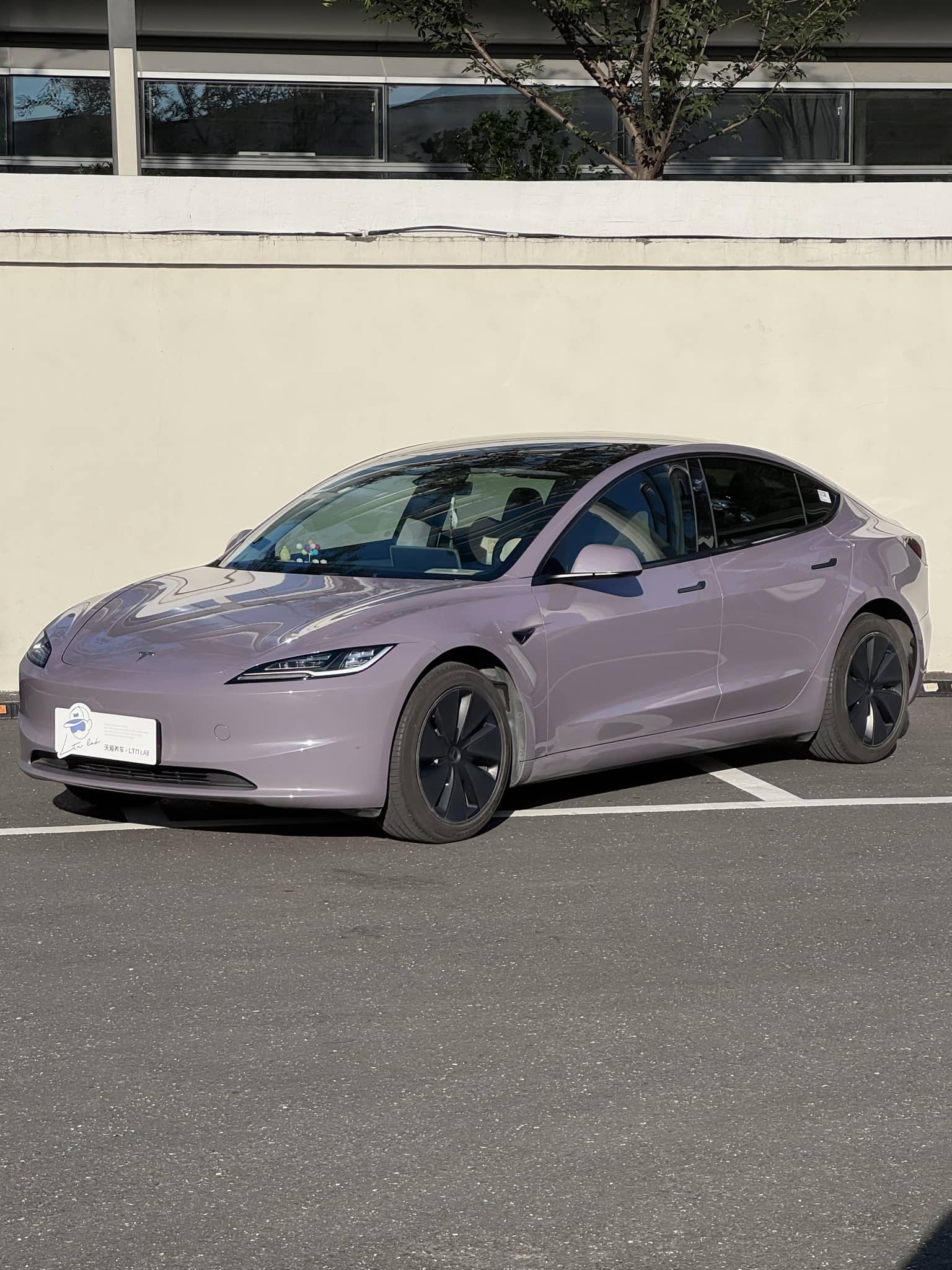 Tesla Model 3 in light purple color featuring WrapBug Pre-cut Tesla Wrap Kit parked outdoors