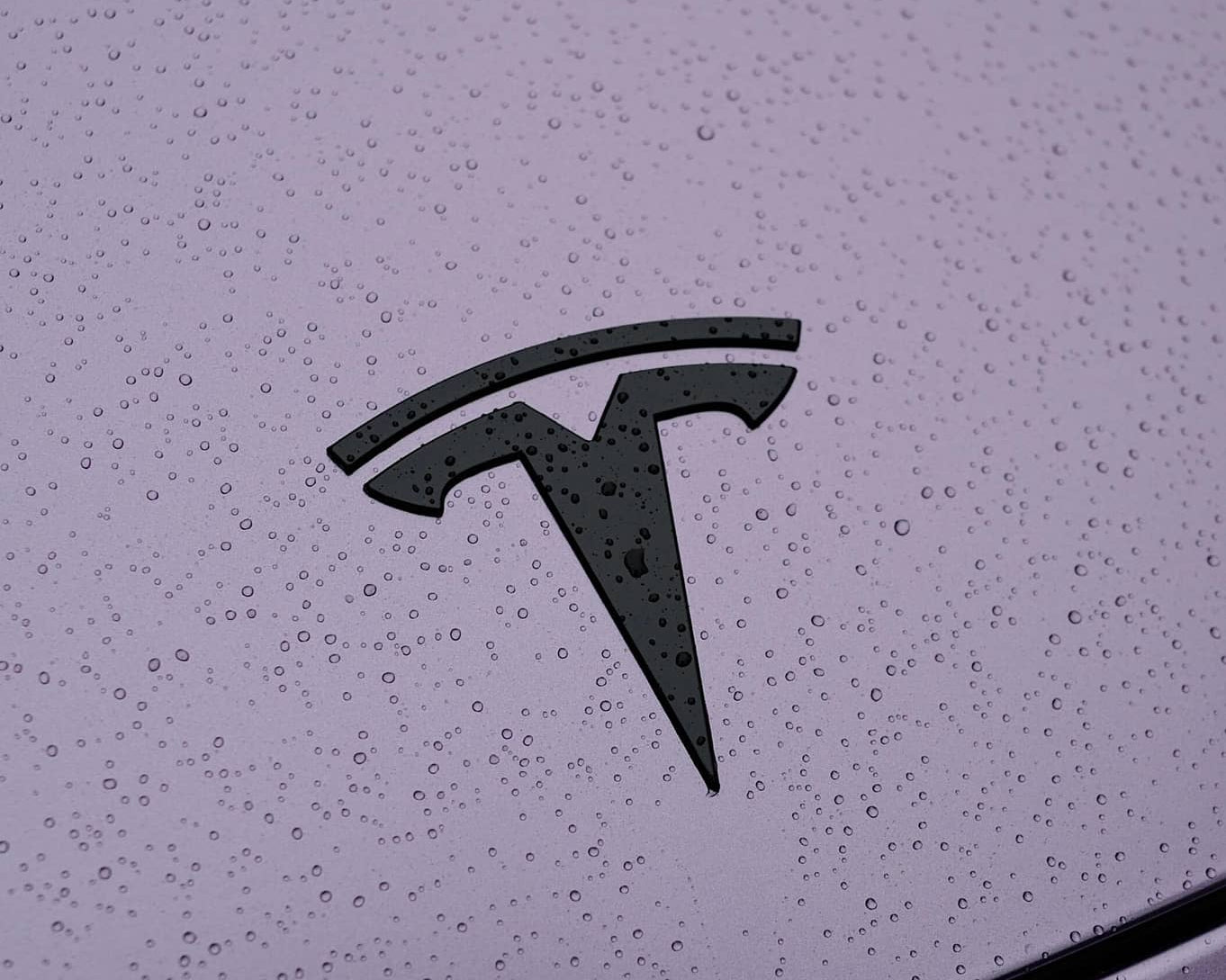 Purple Tesla hood with black logo covered in water droplets showcasing Pre-cut Tesla Wrap Kit