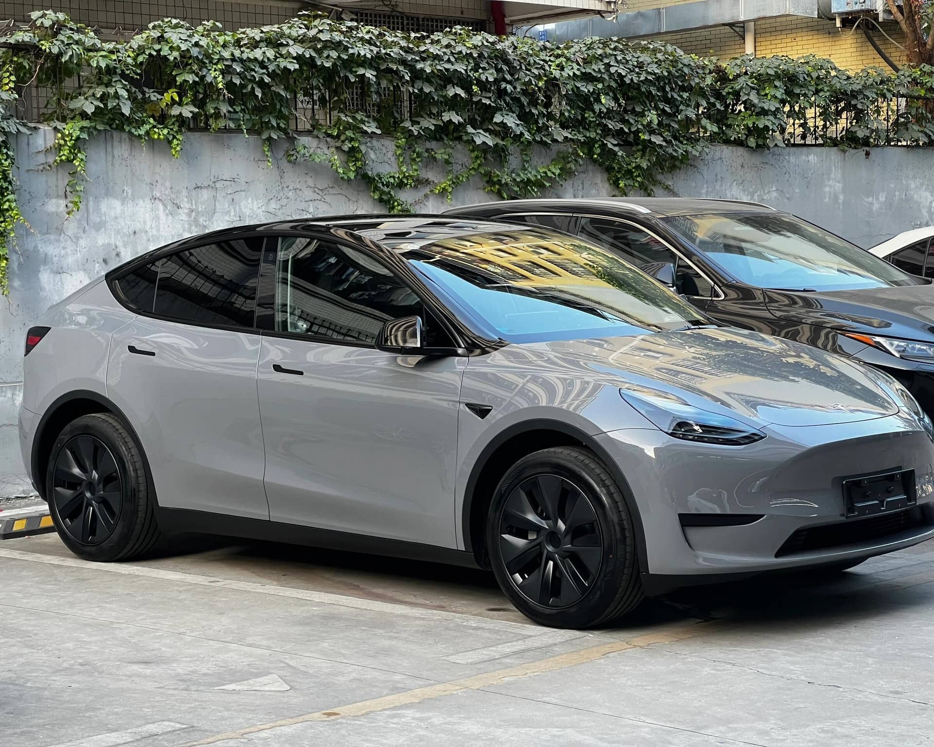 Gray Tesla Model Y parked outdoor showcasing WrapBug tesla color PPF on body and black rims