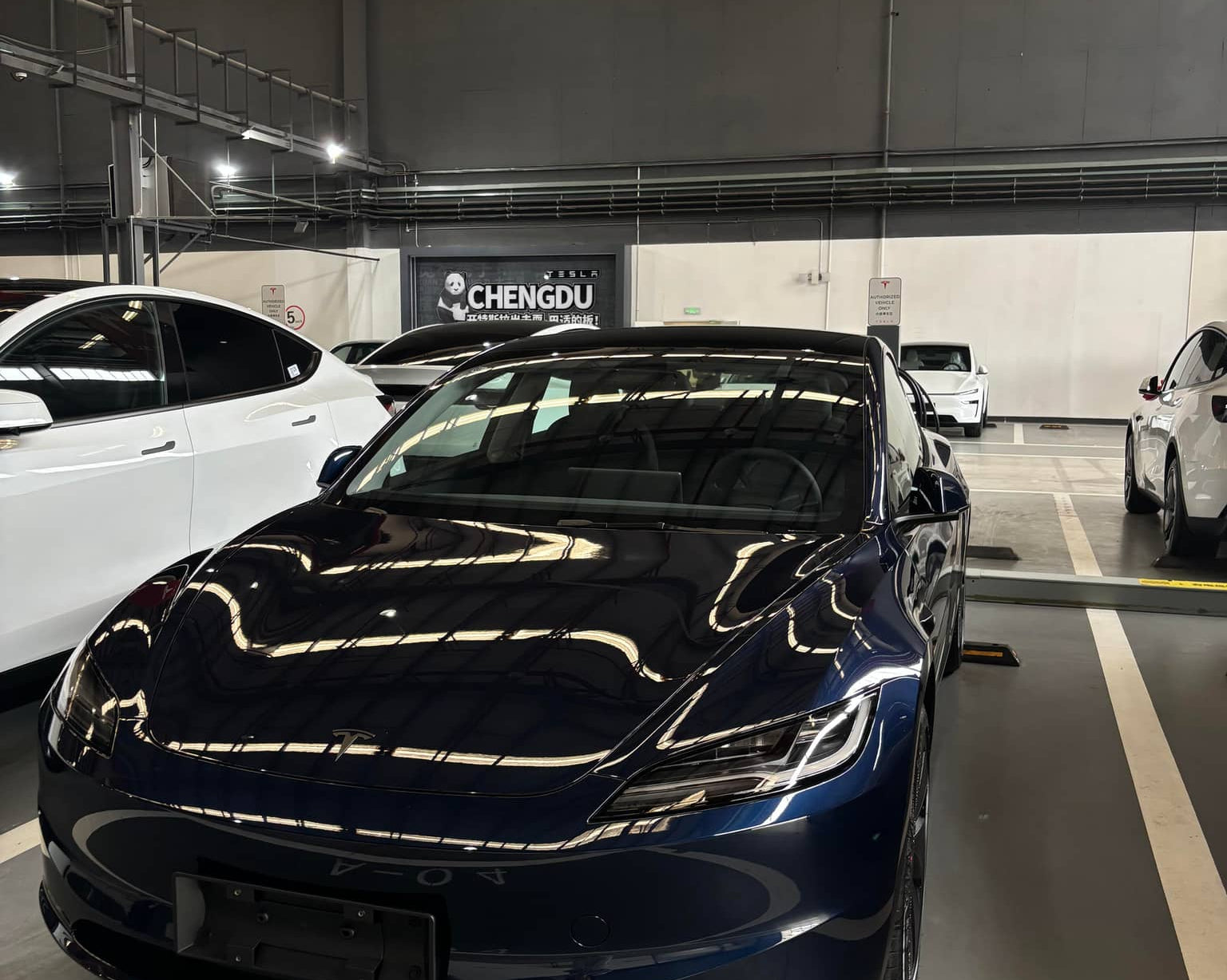 Dark blue Tesla parked indoors showcasing a Pre-cut Tesla Wrap Kit by WrapBug