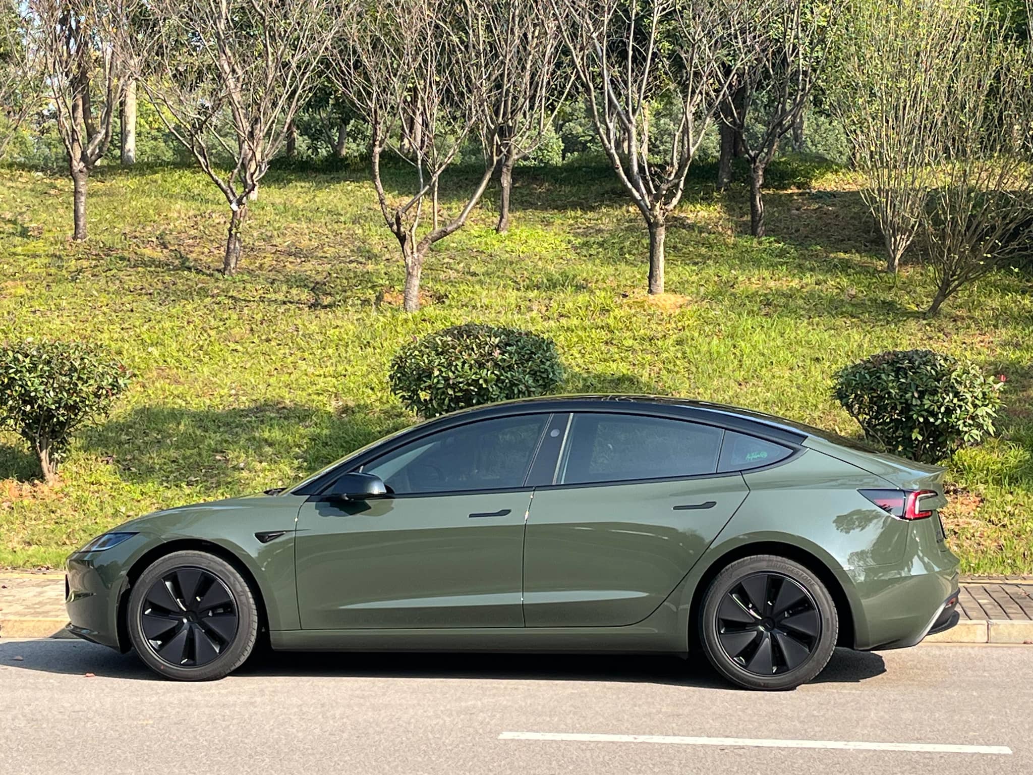WrapBug olive green car wrap applied on a Tesla Model 3 parked on the street