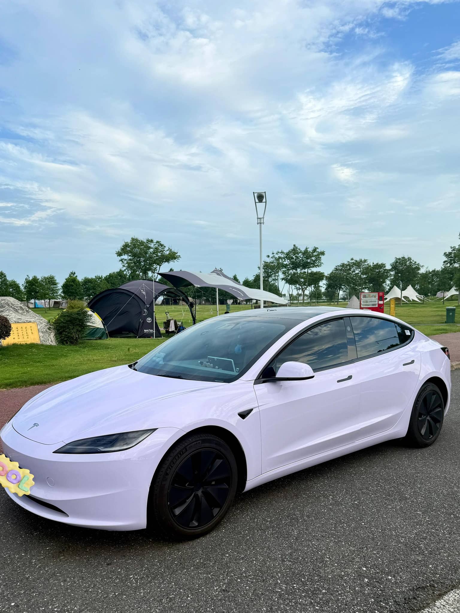 White Tesla Model 3 with WrapBug pre-cut Tesla wrap kit installed on a road near a park