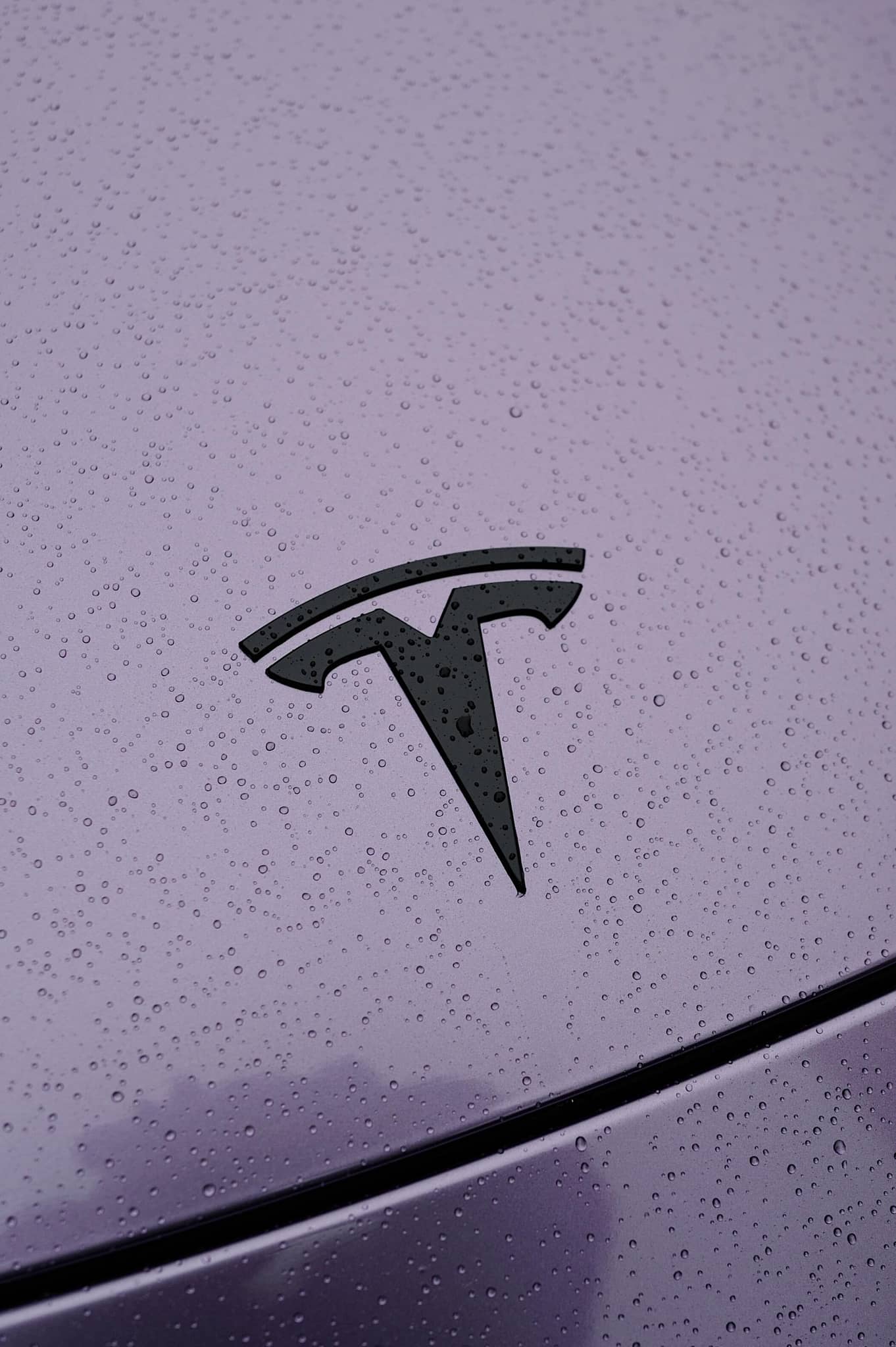 Purple Tesla hood with black logo covered in water droplets showcasing Pre-cut Tesla Wrap Kit