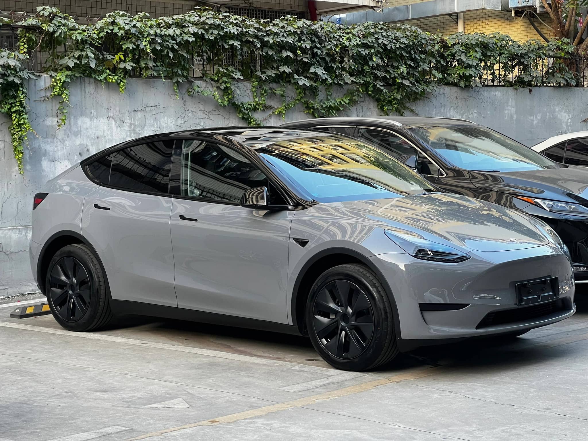 Gray Tesla Model Y parked outdoor showcasing WrapBug tesla color PPF on body and black rims