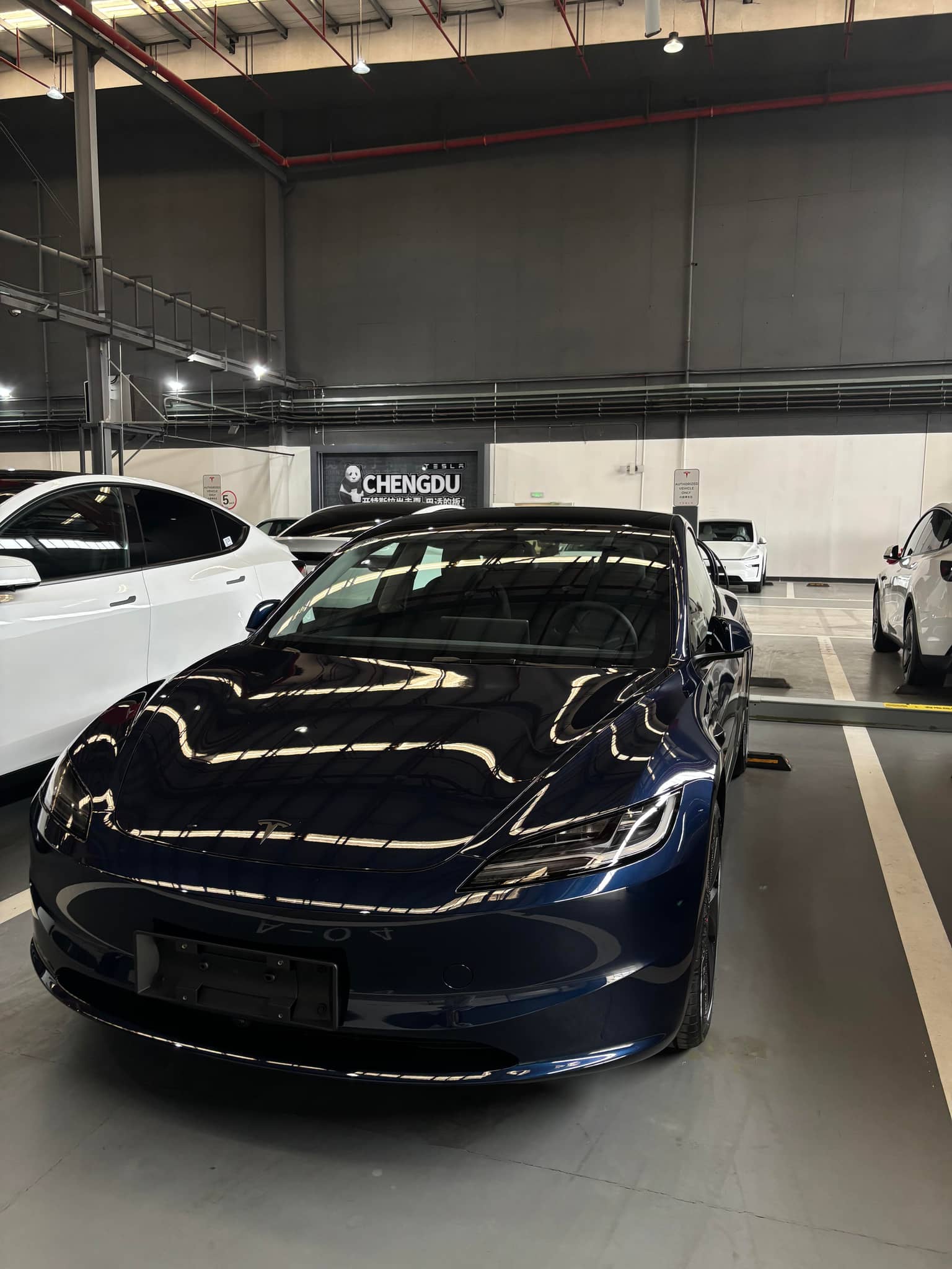 Dark blue Tesla parked indoors showcasing a Pre-cut Tesla Wrap Kit by WrapBug