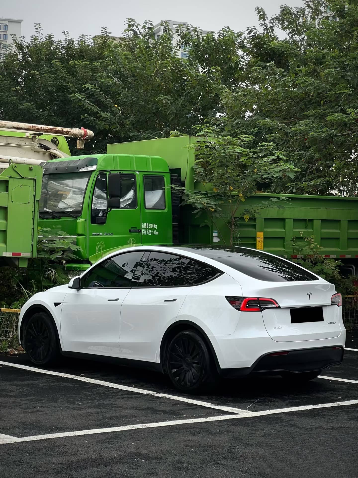 White Tesla Model Y parked outdoors showcasing smooth finish suitable for Pre-cut Tesla Wrap Kit application